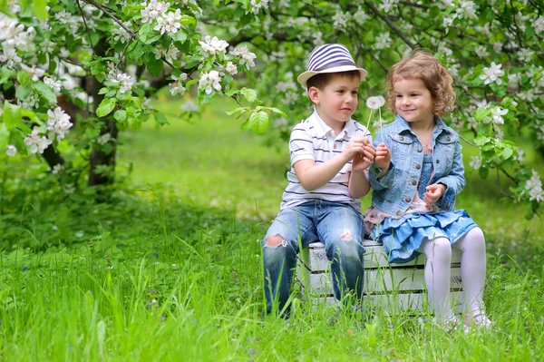 Sorella e fratello — Foto Stock