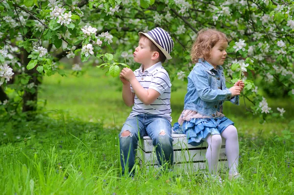 Sorella e fratello — Foto Stock