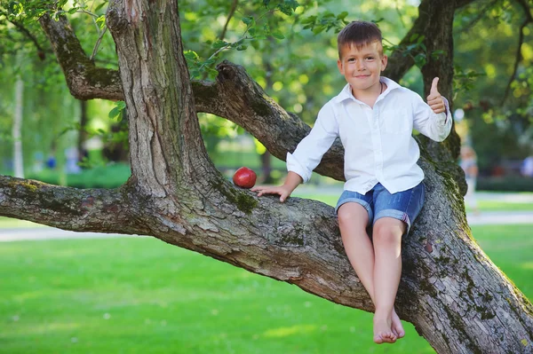 Menino adorável no parque — Fotografia de Stock