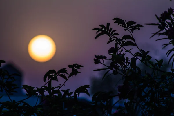 Sol animado fotos de stock, imágenes de Sol animado sin royalties | Depositphotos Sol animado fotos de stock, imágenes de Sol animado sin royalties | Depositphotos