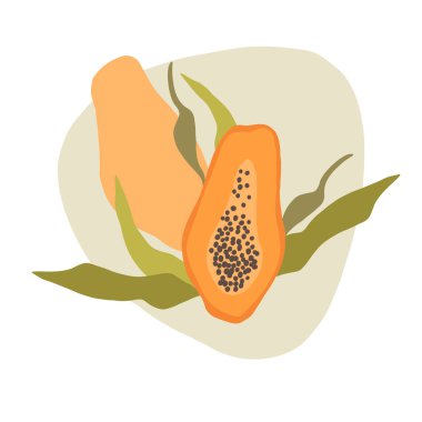 Yeşil yapraklı papaya meyvesi.