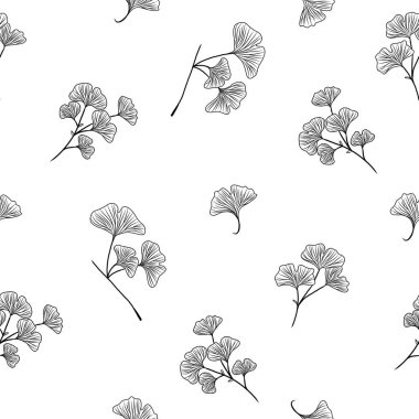 Ginkgo biloba pürüzsüz desen, çiçek deseni, el çizimi