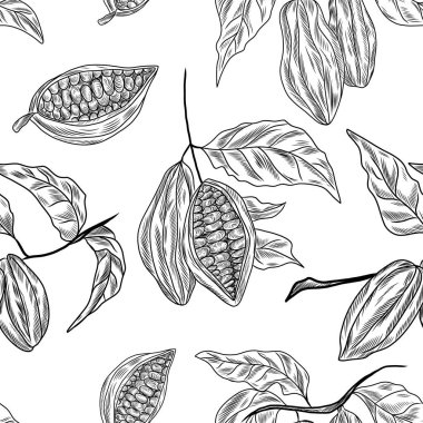 Kakao ağacı dalları, kakao çekirdekleri ve tohumlarla kusursuz bir desen. El çizimi çiçek kuyusu kağıdı