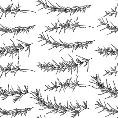 Biberiye bitkisiyle kusursuz desen