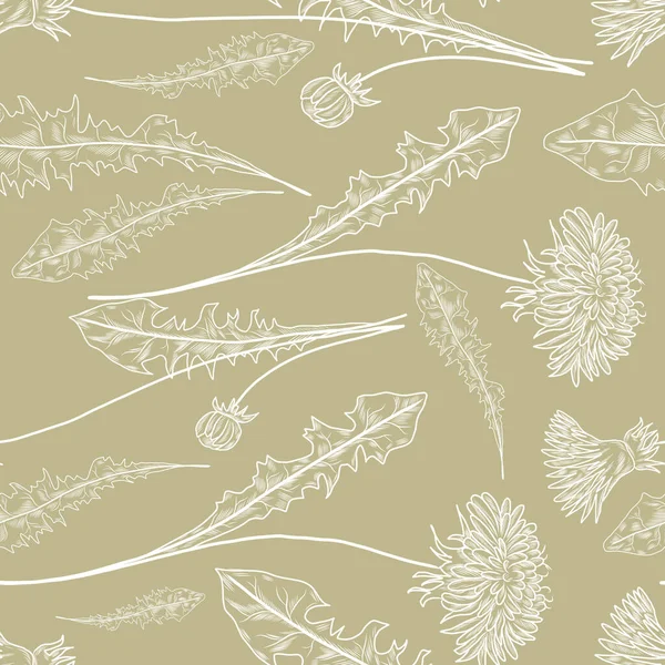 Seamless Floral Pattern Dandelion Herbs — Stock Vector