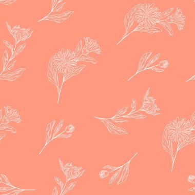 Calendula el çizimi çiçekler, yapraklar, dikişsiz desenli dallar, çiçekli arka plan