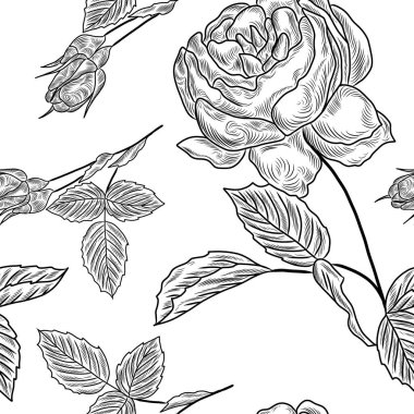 Gül çiçekleri ve yapraklarla kusursuz desen, el çizimi çiçek deseni.