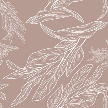 El çizimi adaçayı, dikişsiz bitki deseni, çiçek deseni, salvia otları.