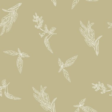 Çiçek deseni, salvia pürüzsüz arka plan, bitkisel bitkiler.