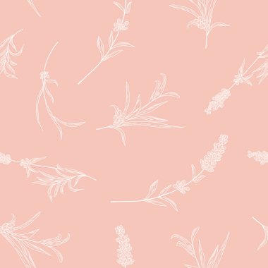 Bitkisel ilaç bitkileri, lavanta bitkileri, lavanta çiçekleri ile pembesiz desen