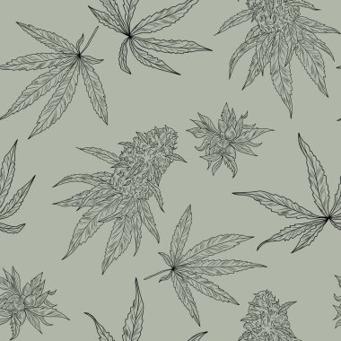 Kenevir bitkisi ve kenevir yapraklarıyla elle çizilmiş pürüzsüz desen