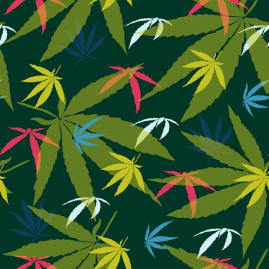 Kenevir bitkisi, kenevir yaprakları, marihuana bitkisi, şifalı ot, tıbbi bitkiler ile kusursuz parlak renk deseni