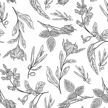 Bitki, zeytin ağacı, salvia bitkisi, elinde takvim çiçekleri...