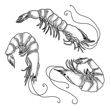 El yapımı karides koleksiyonu, lezzetli deniz ürünleri.