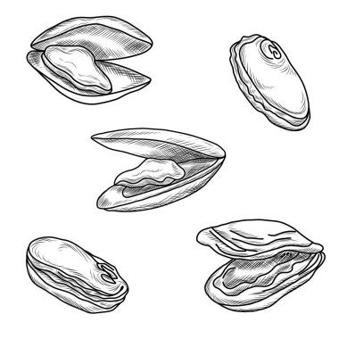 El çizimi midye çizimleri, Akdeniz mutfağı.