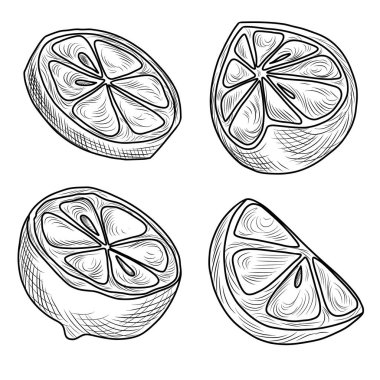 Limon meyvesi örneklerinin el çizimi vektör koleksiyonu