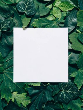 Renkli sonbahar yaprakları ve fotokopi alanı olan eski kağıt parçaları. Sonbaharın renkleri, her renkte farklı yapraklar. Renkli sonbahar arkaplanı yazı için boş eski kağıt parçalarıyla doldurur - kopyalama alanı. Düz yatıyordu. Doğa konsepti