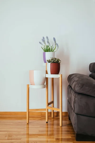 Three modern flowerpots at plant stand at home. Beautiful handmade two colored clay pots with flowers in living room with copy space
