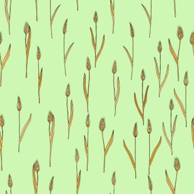 çizgi film doodle buğday sivri ile vektör seamless modeli