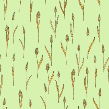 çizgi film doodle buğday sivri ile vektör seamless modeli