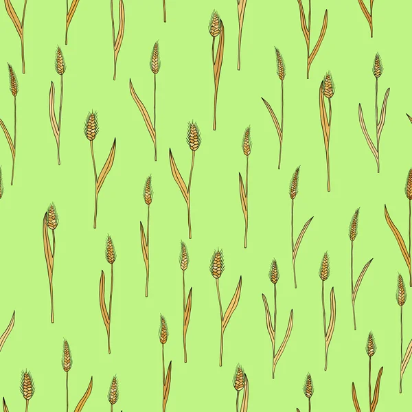 Vecteur motif sans couture avec des pointes de blé gribouille dessin animé — Image vectorielle