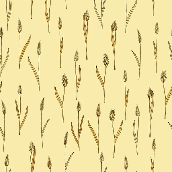 Векторный бесшовный рисунок с мультяшными шипами пшеницы каракули — стоковый вектор