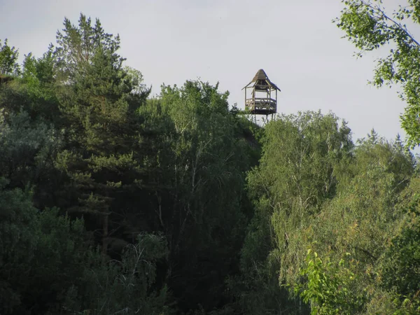 Руїни Дерев Яної Альтанки Над Лісом — стокове фото