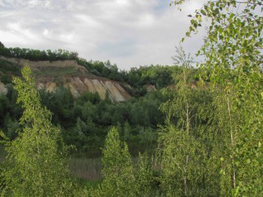 yeşil çalılar ve kil kayalıklar