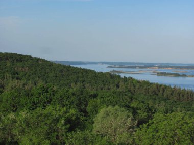 manzara arka planı: yeşil orman, adalı nehir ve mavi gökyüzü