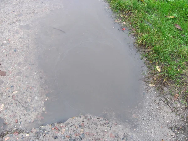 A puddle on a concrete road next to green grass.
