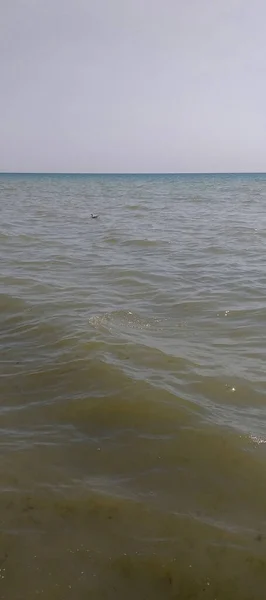 海浪小 地平线遥远的海洋 — 图库照片