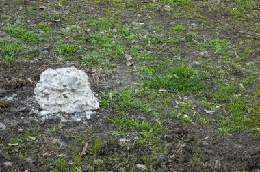 Yeşil çimlerin üzerinde beyaz bir beton parçası