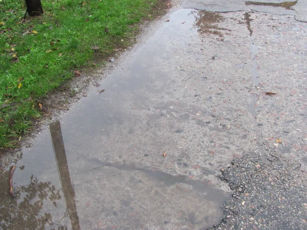 A puddle on a concrete road next to green grass.