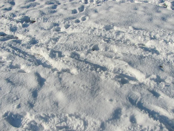 Background White Snow Footprints — Stock Photo, Image