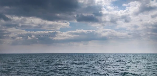 Fondo Horizontal Mar Tranquilo Cielo Con Nubes Aves Voladoras —  Fotos de Stock