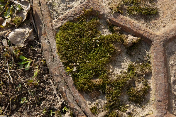 ラスティ 苔で覆われた下水道マンホールカバー — ストック写真