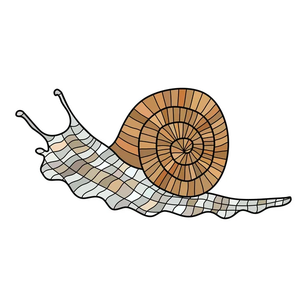 Caracol doodle abstrato —  Vetores de Stock