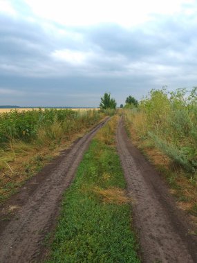 Yolun kenarlarında ve yolda büyüyen yeşil çimlerle birlikte, uzak mesafeye giden lastik izleri olan kirli bir yol..
