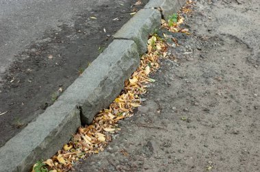 Kaldırımlı eski asfalt yüzeyi ve uçurumun kenarında düşen sonbahar yaprakları..