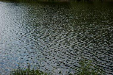 Tüm çerçeveyi kaplayan yumuşak dalgalı yeşil göl suyu..