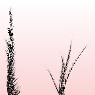 Japonya Trend vintage arka plan tasarlamak vektör