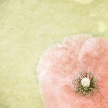 Çiçek desenli eski kağıt