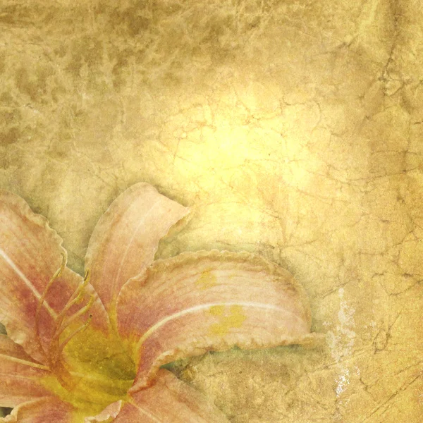 Çiçek desenli eski kağıt — Stok fotoğraf