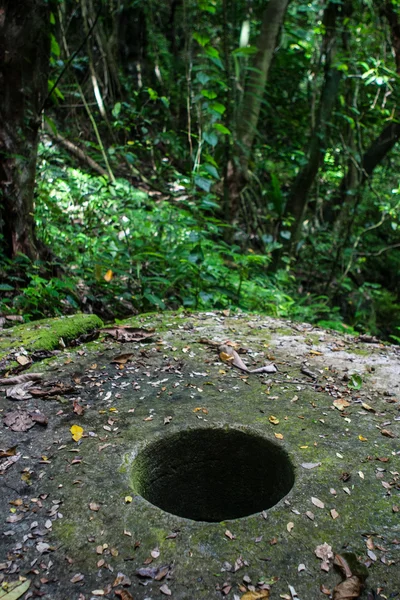 Yapese Stone Money in Jungle — Stock Photo, Image