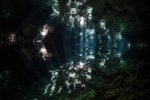 Dark, Underwater Grotto