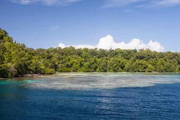 Tropický ostrov, útes a oceán na Šalamounových ostrovech — Stock fotografie