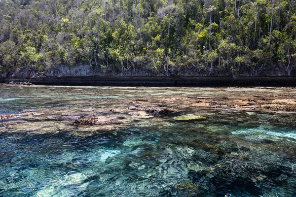 Fringing Reef e Limestone Island — Fotografia de Stock