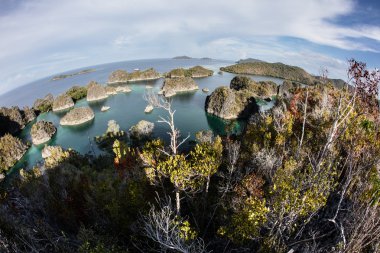 Kireçtaşı Adaları ve Raja Ampat gölünde