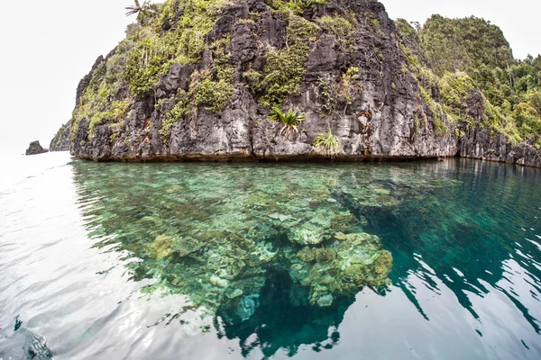 Νησιά ασβεστόλιθων και περιβάλλων κοραλλιογενής ύφαλος — Φωτογραφία Αρχείου