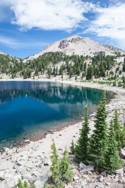 Raja Ampat yüzey altında kırılgan mercan